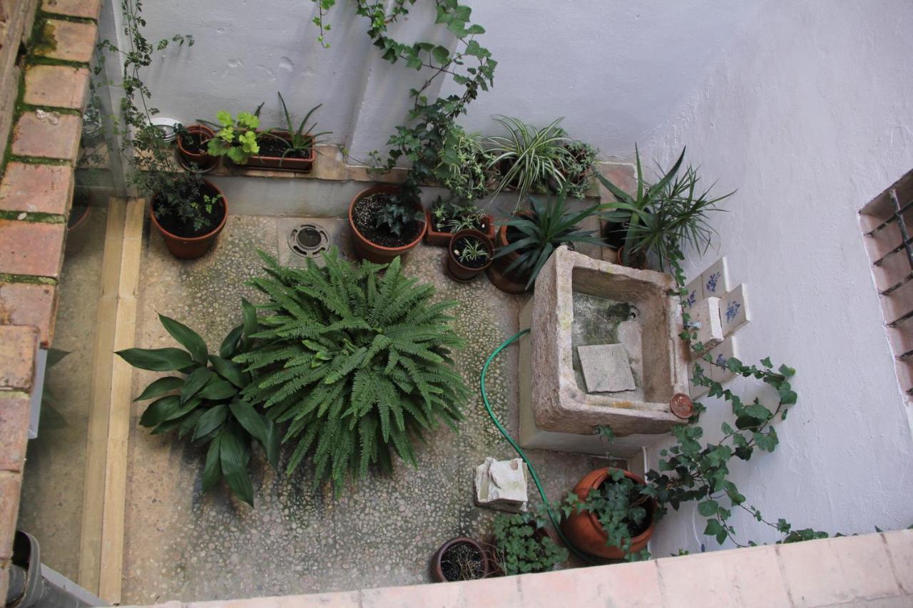 Las Coles Apartasuites Xàtiva Exteriér fotografie