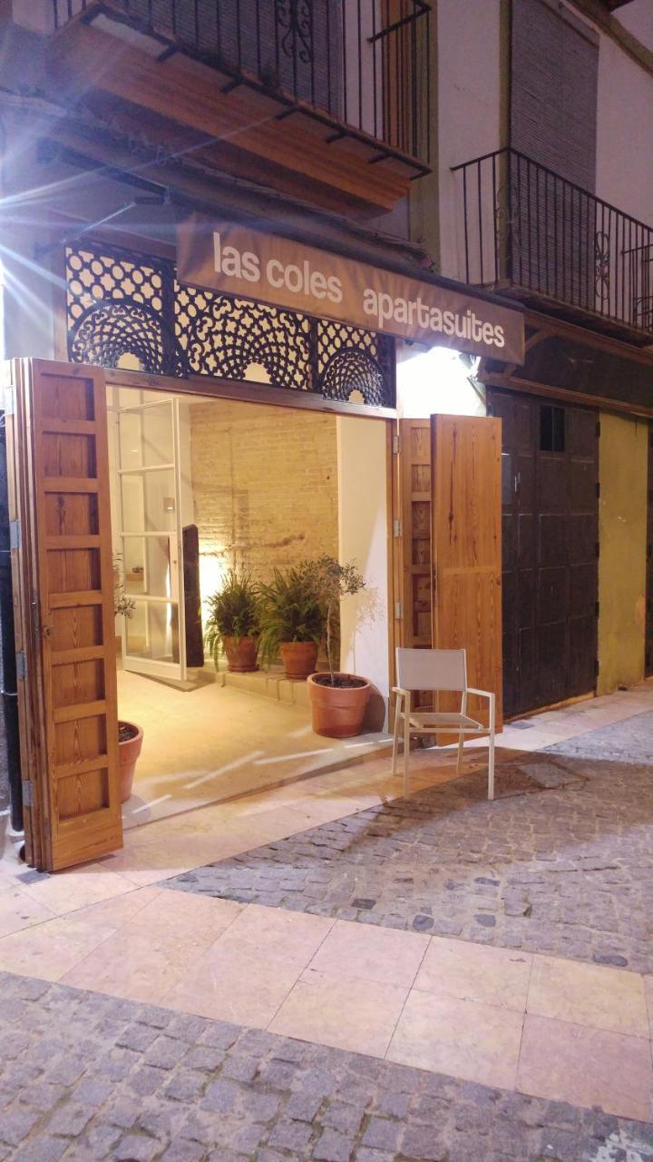 Las Coles Apartasuites Xàtiva Exteriér fotografie